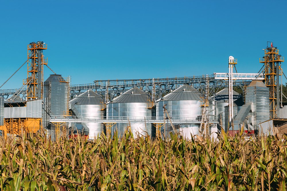 Building a Skilled Workforce for a Biomass Energy Venture